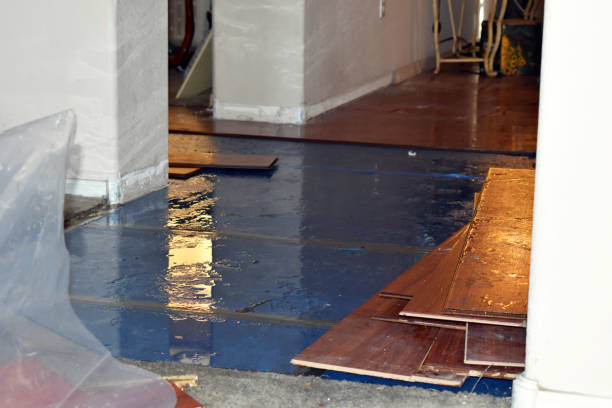 Professional Emergency Water Damage Restoration technician working in Derby, CT